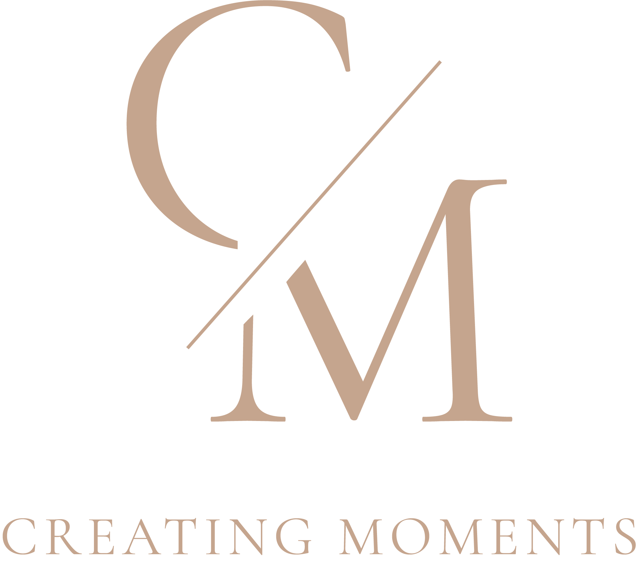 light logo